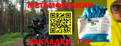 крисы Новозыбков