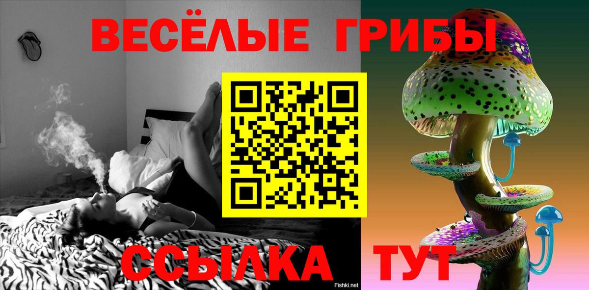 Галлюциногенные грибы Cubensis Чехов